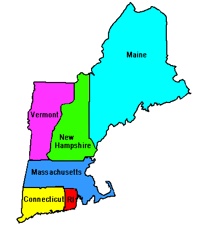 nature and character of the colonies There were various forms of government in the new england colonies there was a colonial legislature in each colony that made the laws for the colony the males who owned land elected the. nature and character of the colonies There were various forms of government in the new england colonies there was a colonial legislature in each colony that made the laws for the colony the males who owned land elected the.