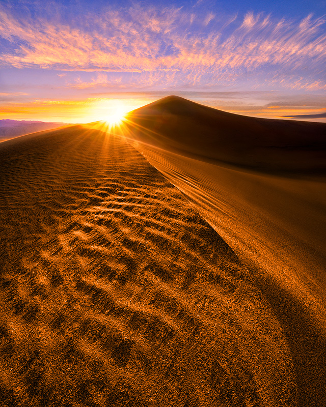 biotic abiotic factors of sand dunes
