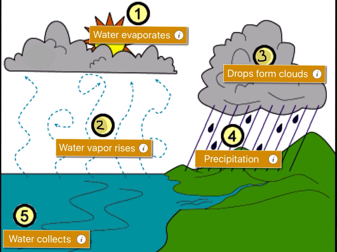Mrs. Norton's 2nd Grade Classroom
